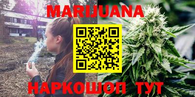 прущие грибы Камень-на-Оби