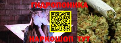 индика Каменск-Уральский