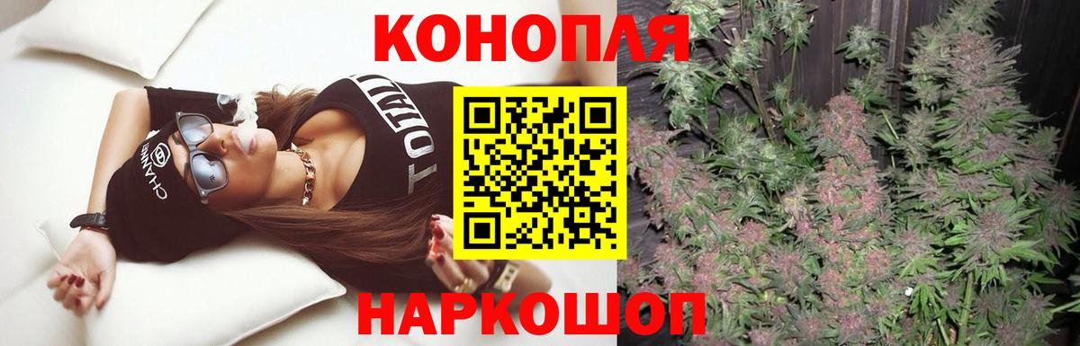 Каннабис планчик  Вход с VPN  Конопля ГИДРОПОН  Канабис White Widow  Ессентуки 