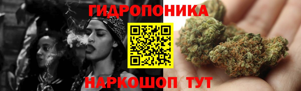Каннабис MAZAR Ессентуки